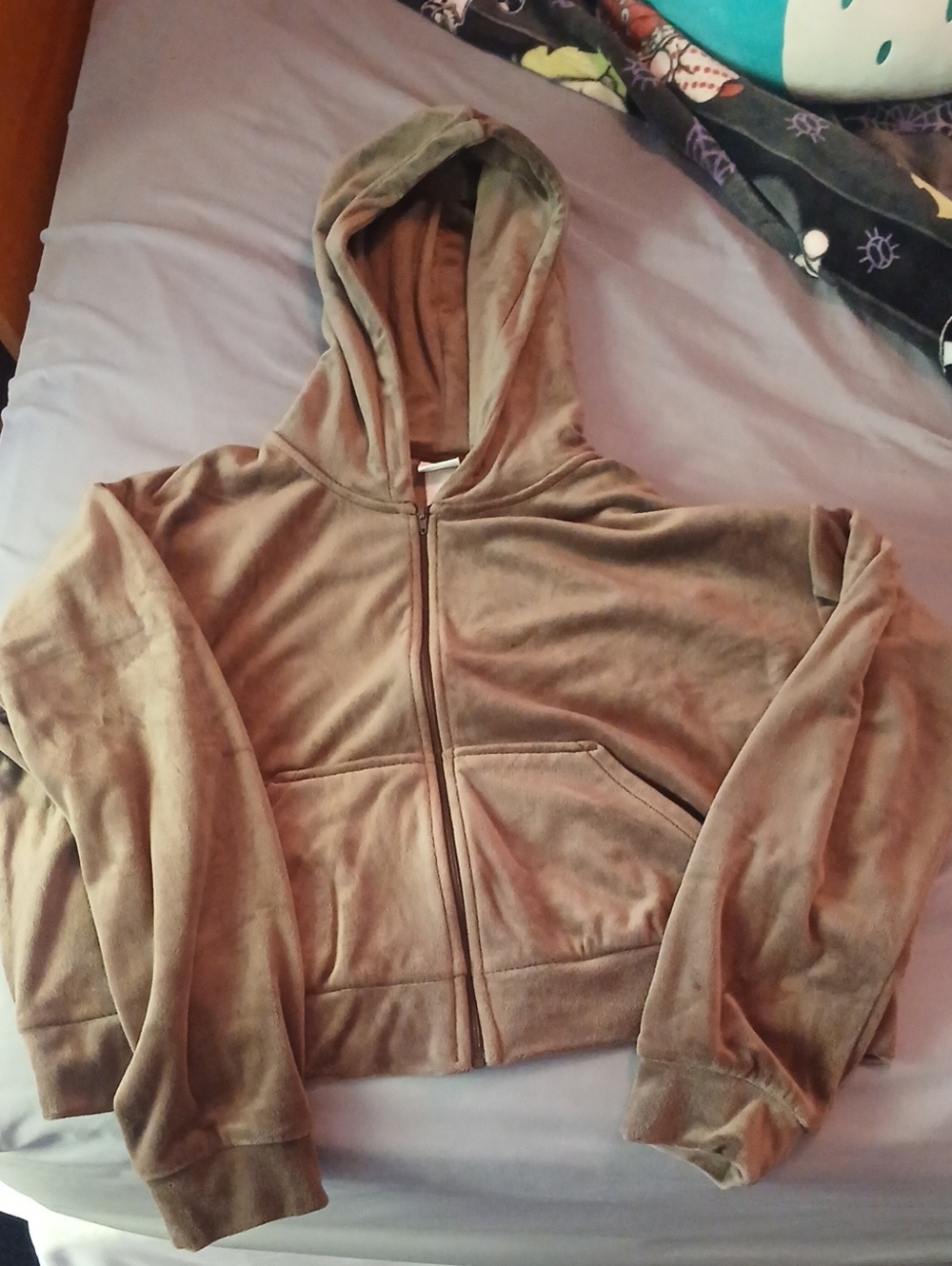H&M Brown Zip-Up Velour Hoodie